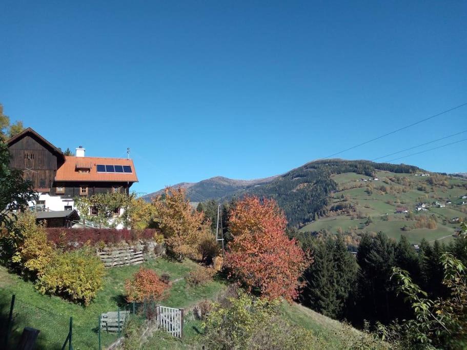 Fw Schnuckel In 300A Altem Bergbauernhaus 1110M Plessnitz Luaran gambar